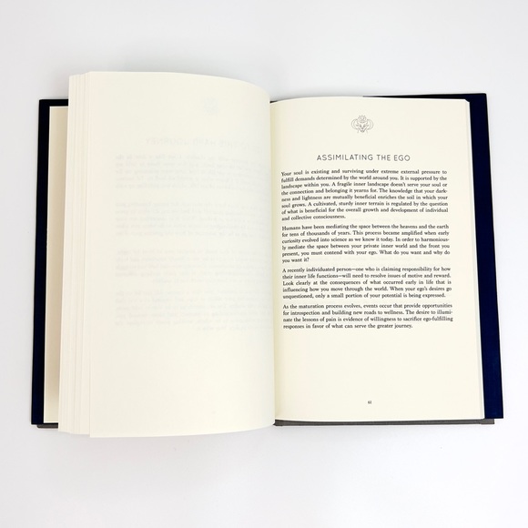 Goldmining The Shadows - Hardcover - Picture 3 of 6